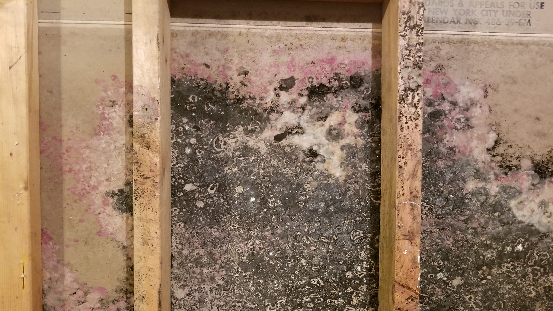 Mold Mitigation ServiceMaster Southwest Mississippi